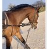 Ponette de sport NWR 6 ans, potentiel m20