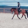 Ponette de sport NWR 6 ans, potentiel m20