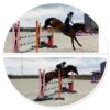 Ponette de sport NWR 6 ans, potentiel m20