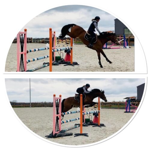 Ponette de sport NWR 6 ans, potentiel m20