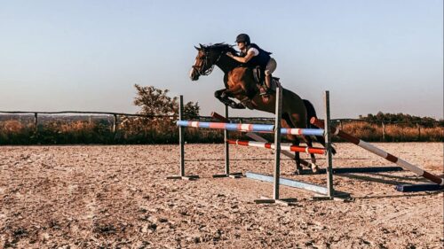 Ponette de sport NWR 6 ans, potentiel m20