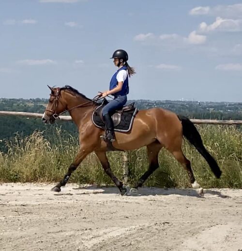 Ponette de sport NWR 6 ans, potentiel m20