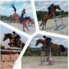 Ponette de sport NWR 6 ans, potentiel m20