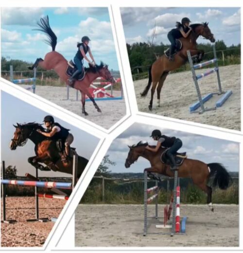 Ponette de sport NWR 6 ans, potentiel m20