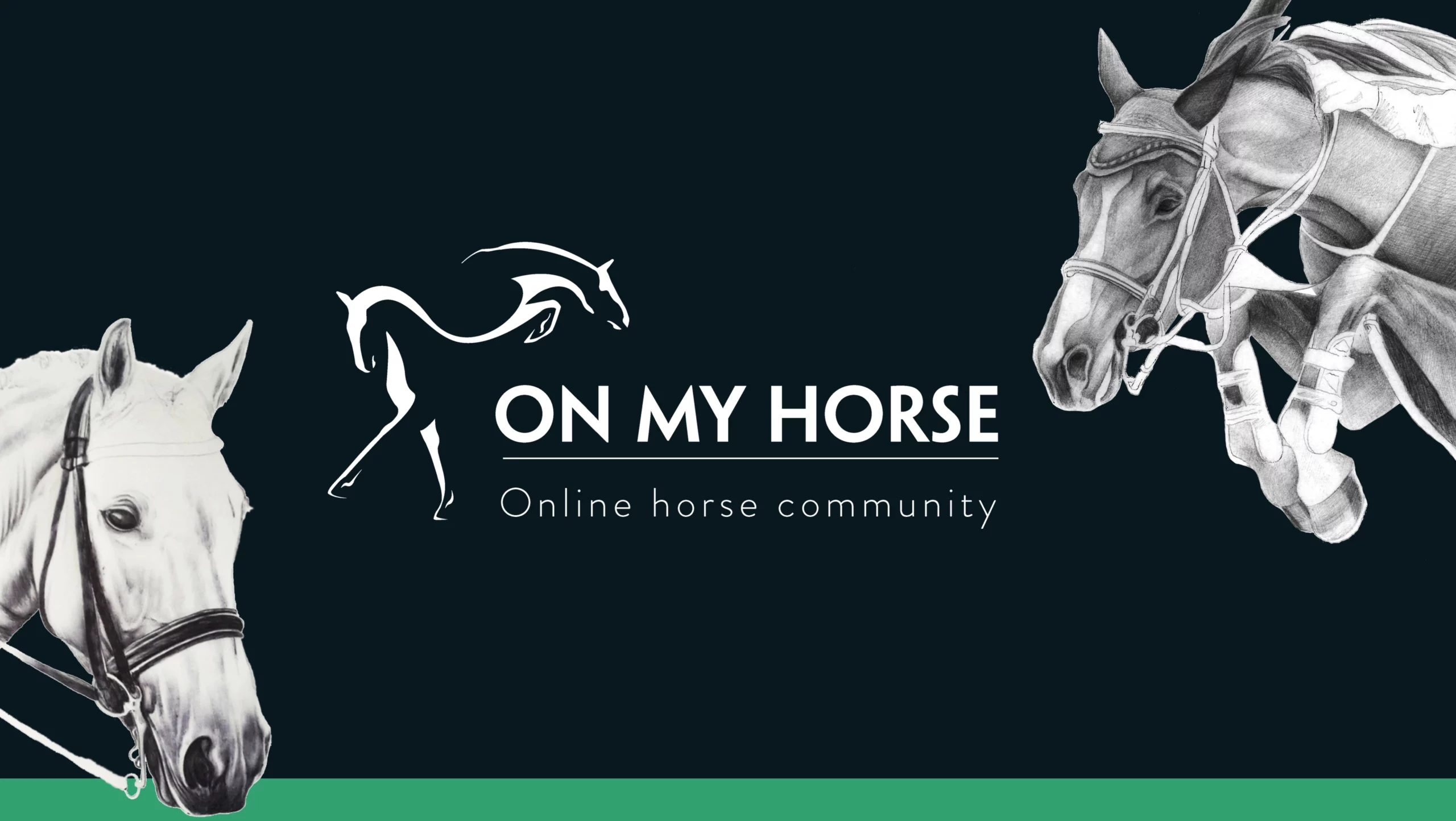 On My Horse Marketplace image bannière homepage. Petites annonces chevaux, équipements, véhicules, services, soins et immobilier