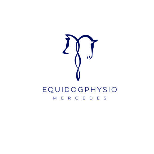 Equidogphysio