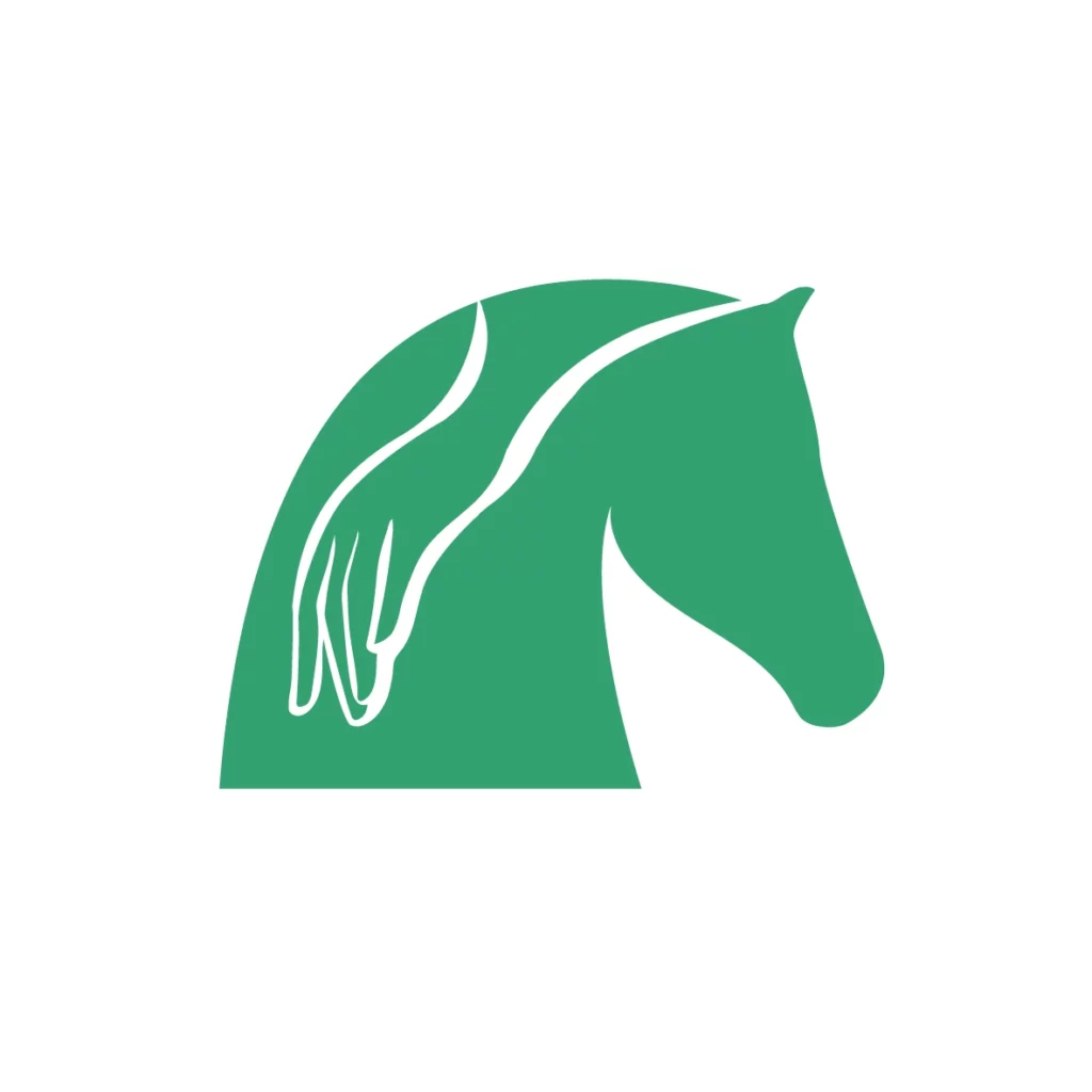 horse physiotherapist icon Horse care and health.