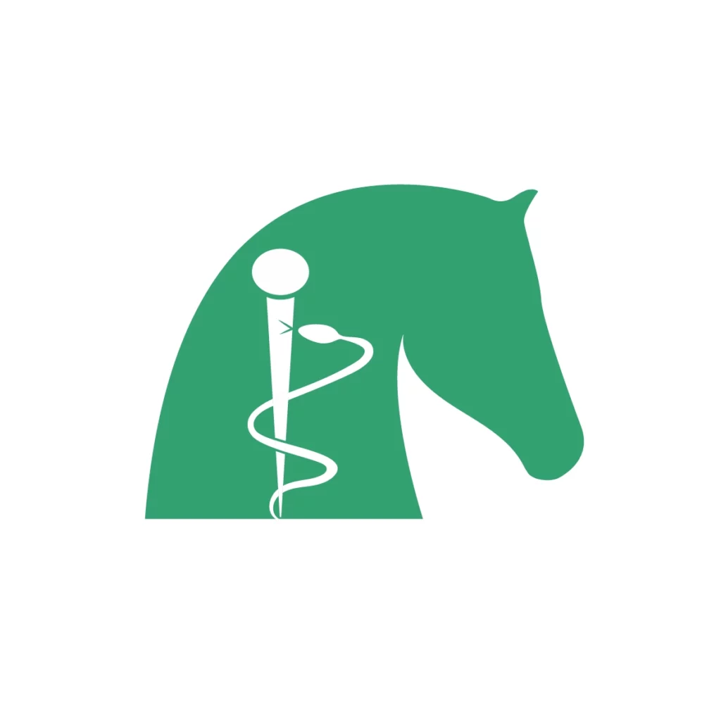 horse veterinarian icon. Horse care and health.